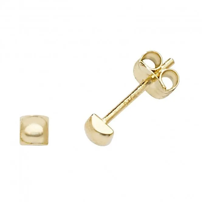 9ct Yellow Gold Stud Earrings ES582